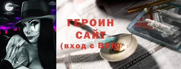 молекула духа Вяземский