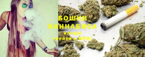 дмт Абаза