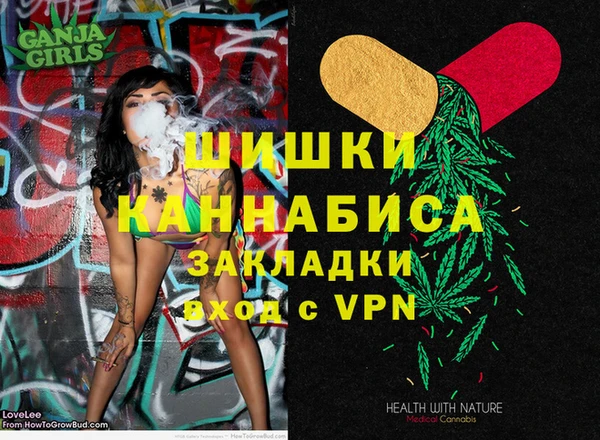 дмт Абаза