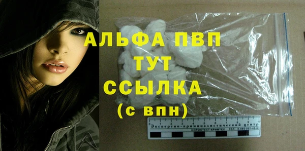 дмт Абаза