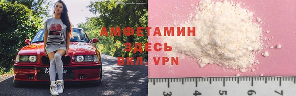 дмт Абаза